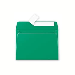 20  enveloppes Pollen 114x162 mm  - Vert sapin