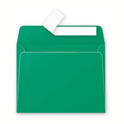 20  enveloppes  Pollen 90x140 mm  - Vert sapin