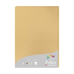 1 étui de 25 feuilles Pollen 210x297 mm 210g - Caramel