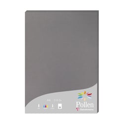 1 étui de 25 feuilles Pollen 210x297 mm 210g - Gris acier
