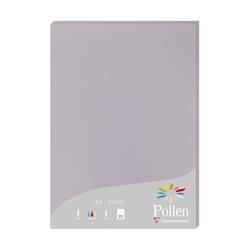 1 étui de 25 feuilles Pollen 210x297 mm 210g - Gris koala
