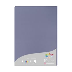 RAMETTE A4 210G MYOSOTIS X25