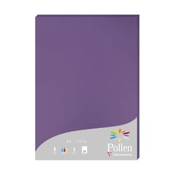 1 étui de 25 feuilles Pollen 210x297 mm 210g - Violine