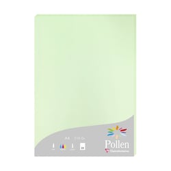 1 étui de 25 feuilles Pollen 210x297 mm 210g - Vert
