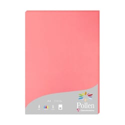 1 étui de 25 feuilles Pollen 210x297 mm 210g - Litchi