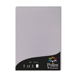 1 étui de 50 feuilles Pollen 210x297 mm 120g  - Gris koala