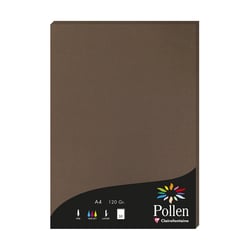 1 étui de 50 feuilles Pollen 210x297 mm 120g  - Marron taupé