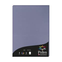 RAMETTE A4 120G MYOSOTIS X50
