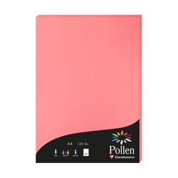 1 étui de 50 feuilles Pollen 210x297 mm 120g  - Litchi