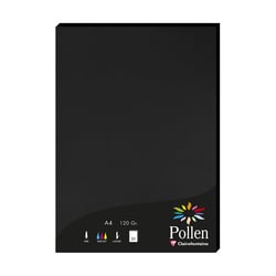 1 étui de 50 feuilles Pollen 210x297 mm 120g  - Noir
