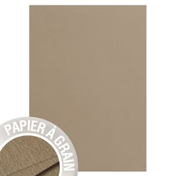 5 feuilles Grain de Pollen 210x297 mm - 120g - ficelle