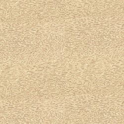 Papier texturé - Artemio - bois de chêne - 120 g/m² - 30 x 30 cm