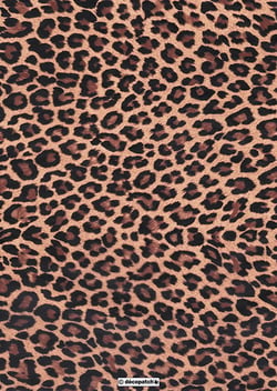FEUILLE DECOPATCH 30X40 N°207