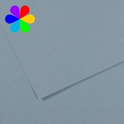 Canson Lot De 25 Feuilles, 7 Teintes 60% Abeille 160 G (338