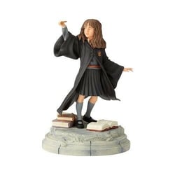 Figurine hermione granger harry