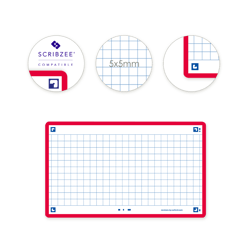 80 flashcards - 7,5 x 12,5 cm - Flash 2.0 Oxford - Petits carreaux - cadre rouge
