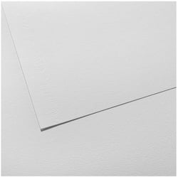 Feuille C a grain 125g 50x65