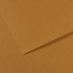Feuille MI-TEINTES® Canson - 50 x 65 cm - 160g/m² - cachou