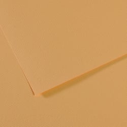 Feuille MI-TEINTES® Canson - 50 x 65 cm - 160g/m² - chanvre