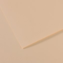 Feuille MI-TEINTES® Canson - 50 x 65 cm - 160g/m² - coquille