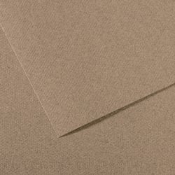 Feuille MI-TEINTES® Canson - 50 x 65 cm - 160g/m² - gris chine