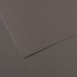 Feuille MI-TEINTES® Canson - 50x65cm - 160g/m² - gris ardoise