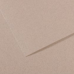 Feuille MI-TEINTES® Canson - 50 x 65 cm - 160g/m² - gris clair