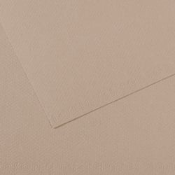 Feuille MI-TEINTES® Canson - 50 x 65 cm - 160g/m² - gris flanelle