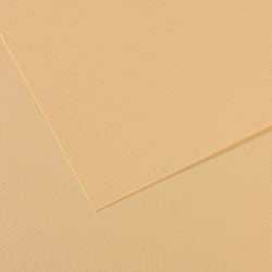 Feuille MI-TEINTES® Canson - 50 x 65 cm - 160g/m² - lichen