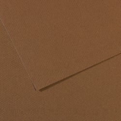 Feuille Mi-Teintes - 50x65cm - 160g - sépia