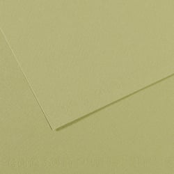 Feuille MI-TEINTES® Canson - 50 x 65 cm - 160g/m² - vert amande