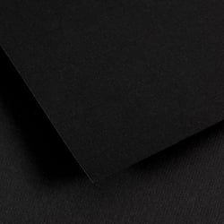 Feuille Ingres Vidalon 50x65 100gr - Noir 50