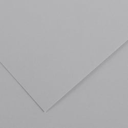 Papier Canson - Iris Vivaldi - 1 feuille - Gris clair - 50 x 65 cm - 120g/m²