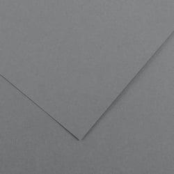 Papier Canson - Iris Vivaldi - 1 feuille - Gris foncé - 50 x 65 cm - 120g/m²