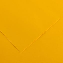 Papier Canson - Iris Vivaldi - 1 feuille - Renoncule - 50 x 65 cm - 120g/m²