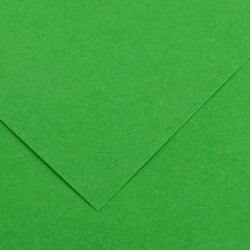 Papier Canson - Iris Vivaldi - 1 feuille - Vert vif - 50 x 65 cm - 120g/m²