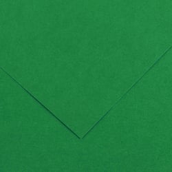 Papier Canson - Iris Vivaldi - 1 feuille - Vert mousse - 50 x 65 cm - 120g/m²