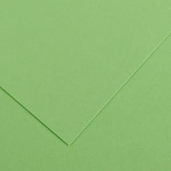 Papier Canson - Iris Vivaldi - 1 feuille - Vert pomme - 50 x 65 cm - 120g/m²