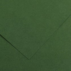 Papier Canson - Iris Vivaldi - 1 feuille - Sapins - 50 x 65 cm - 120g/m²