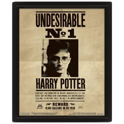 Cadre 3D lenticulaire Pyramid International - Harry Potter Sirius