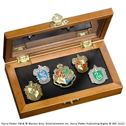 Harry potter collection de pins