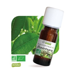 Huile essentielle de Ravintsara bio - 10 ml