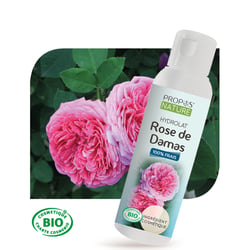 Hydrolat de rose - 100 ml