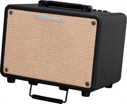 Ibanez - Troubadour - T30