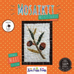 KIT MOSAîQUE COMPLET 100 NATU