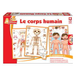 LE CORPS HUMAIN