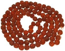 Mala sadou