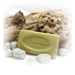 Mini moule pour savon Bienvenue
