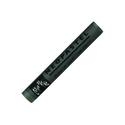 Pastel à l'huile NEOPASTEL® olive noir n°19 - Caran d'Ache