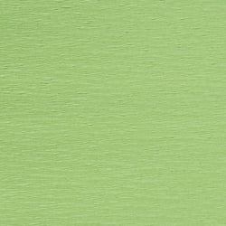 Papier crépon Créalia - 50 cm x 2,5 m - Vert prairie